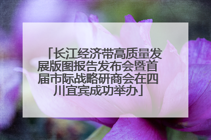 长江经济带高质量发展版图报告发布会暨首届市际战略研商会在四川宜宾成功举办
