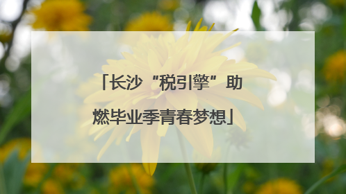 长沙“税引擎”助燃毕业季青春梦想