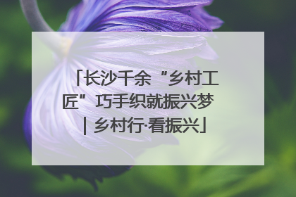 长沙千余“乡村工匠”巧手织就振兴梦｜乡村行·看振兴