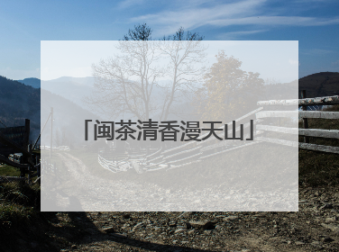闽茶清香漫天山
