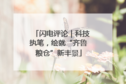 闪电评论｜科技执笔，绘就“齐鲁粮仓”新丰景