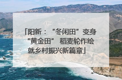 阳新：“冬闲田”变身“黄金田” 稻麦轮作绘就乡村振兴新篇章