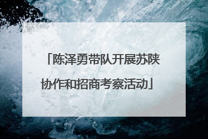 陈泽勇带队开展苏陕协作和招商考察活动
