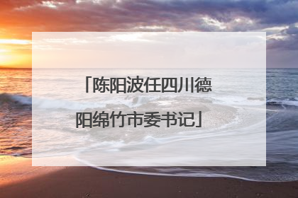 陈阳波任四川德阳绵竹市委书记