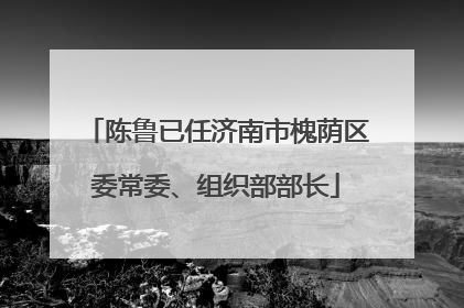 陈鲁已任济南市槐荫区委常委、组织部部长