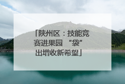 陕州区：技能竞赛进果园 “袋”出增收新希望