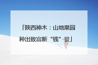 陕西神木：山地果园种出致富新“钱”景