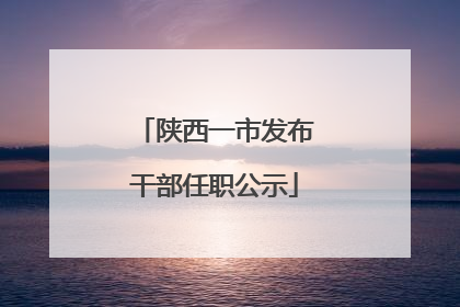 陕西一市发布干部任职公示