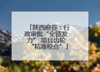 陕西府谷：行政审批“全链发力” 项目齿轮“精准咬合”