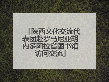 陕西文化交流代表团赴罗马尼亚胡内多阿拉省图书馆访问交流