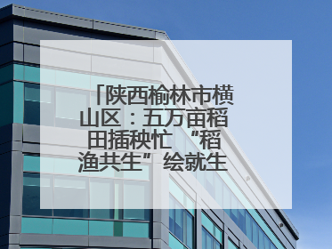 陕西榆林市横山区：五万亩稻田插秧忙 “稻渔共生”绘就生态富民新画卷
