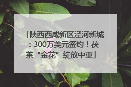 陕西西咸新区泾河新城：300万美元签约！茯茶“金花”绽放中亚