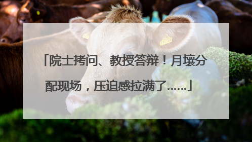 院士拷问、教授答辩！月壤分配现场，压迫感拉满了……