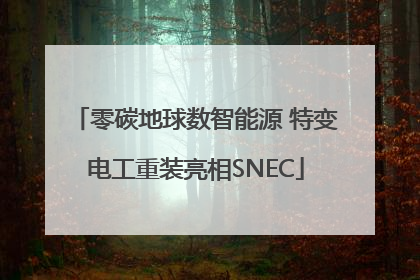 零碳地球数智能源 特变电工重装亮相SNEC