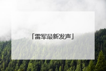 雷军最新发声