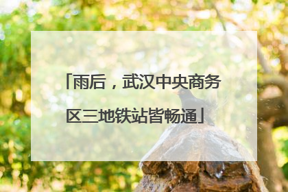 雨后，武汉中央商务区三地铁站皆畅通