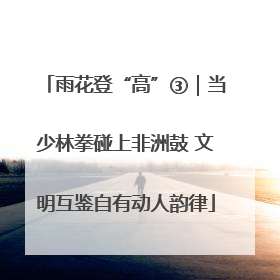 雨花登“高”③｜当少林拳碰上非洲鼓 文明互鉴自有动人韵律