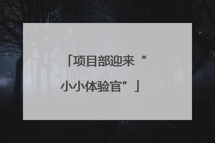 项目部迎来“小小体验官”