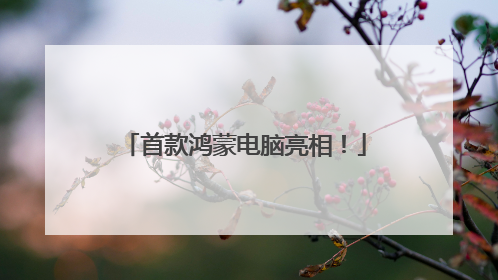 首款鸿蒙电脑亮相！