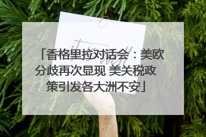 香格里拉对话会：美欧分歧再次显现 美关税政策引发各大洲不安