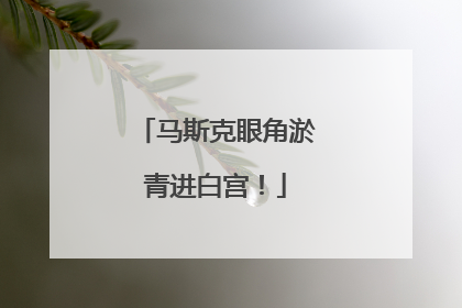 马斯克眼角淤青进白宫！