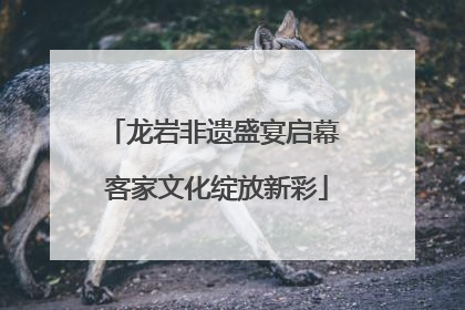 龙岩非遗盛宴启幕 客家文化绽放新彩