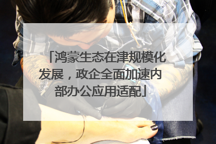 鸿蒙生态在津规模化发展，政企全面加速内部办公应用适配