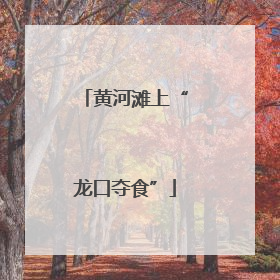 黄河滩上“龙口夺食”