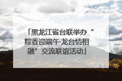 黑龙江省台联举办“粽香迎端午·龙台情相融”交流联谊活动