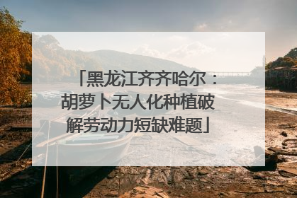 黑龙江齐齐哈尔：胡萝卜无人化种植破解劳动力短缺难题
