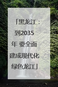 黑龙江：到2035年 要全面建成现代化绿色龙江