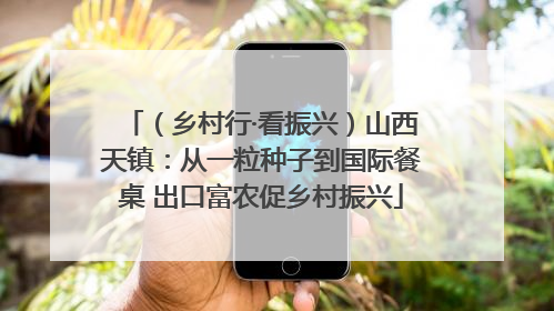 （乡村行·看振兴）山西天镇：从一粒种子到国际餐桌 出口富农促乡村振兴