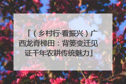 （乡村行·看振兴）广西龙脊梯田：背篓变迁见证千年农耕传统魅力