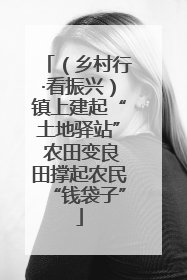（乡村行·看振兴）镇上建起“土地驿站” 农田变良田撑起农民“钱袋子”