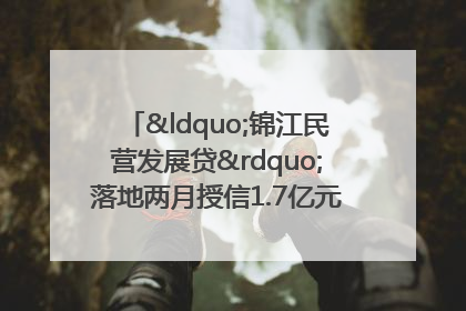 “锦江民营发展贷”落地两月授信1.7亿元，惠及118家民企