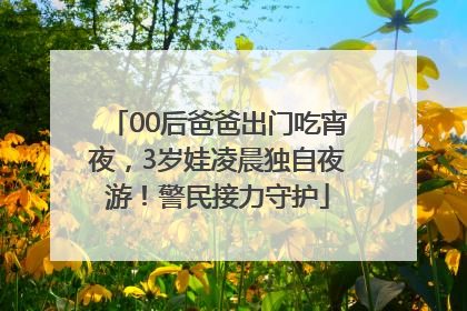 00后爸爸出门吃宵夜，3岁娃凌晨独自夜游！警民接力守护