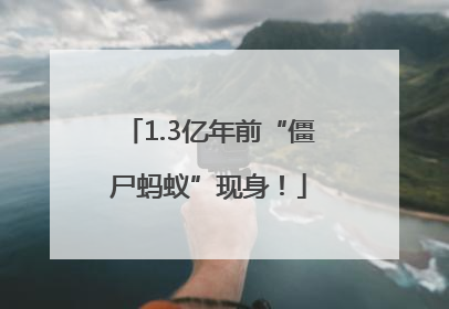 1.3亿年前“僵尸蚂蚁”现身！
