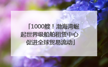 1000艘！渤海湾崛起世界级船舶租赁中心 促进全球贸易流动