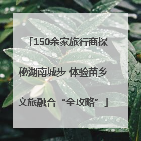 150余家旅行商探秘湖南城步 体验苗乡文旅融合“全攻略”