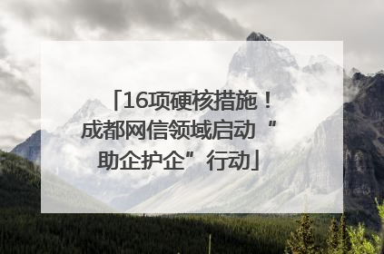 16项硬核措施！成都网信领域启动“助企护企”行动