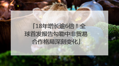 18年增长逾6倍！全球首发报告勾勒中非贸易合作格局深刻变化