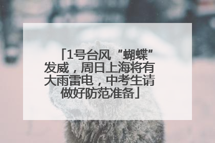 1号台风“蝴蝶”发威，周日上海将有大雨雷电，中考生请做好防范准备