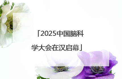 2025中国脑科学大会在汉启幕