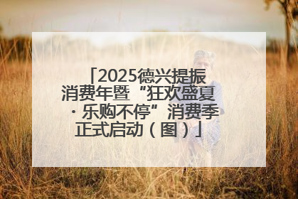 2025德兴提振消费年暨“狂欢盛夏・乐购不停”消费季正式启动（图）
