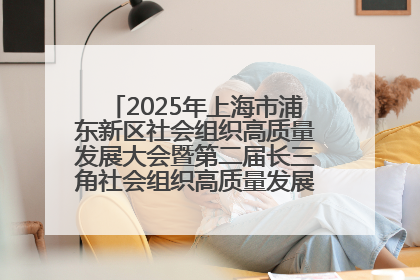 2025年上海市浦东新区社会组织高质量发展大会暨第二届长三角社会组织高质量发展峰会成功举办