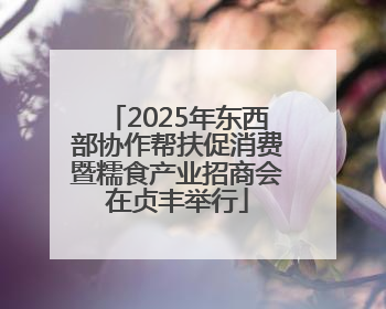 2025年东西部协作帮扶促消费暨糯食产业招商会在贞丰举行