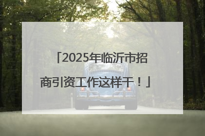 2025年临沂市招商引资工作这样干！
