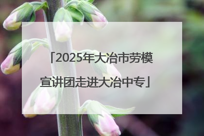 2025年大冶市劳模宣讲团走进大冶中专