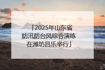 2025年山东省防汛防台风综合演练在潍坊昌乐举行