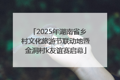 2025年湖南省乡村文化旅游节联动地暨金洞村k友谊赛启幕